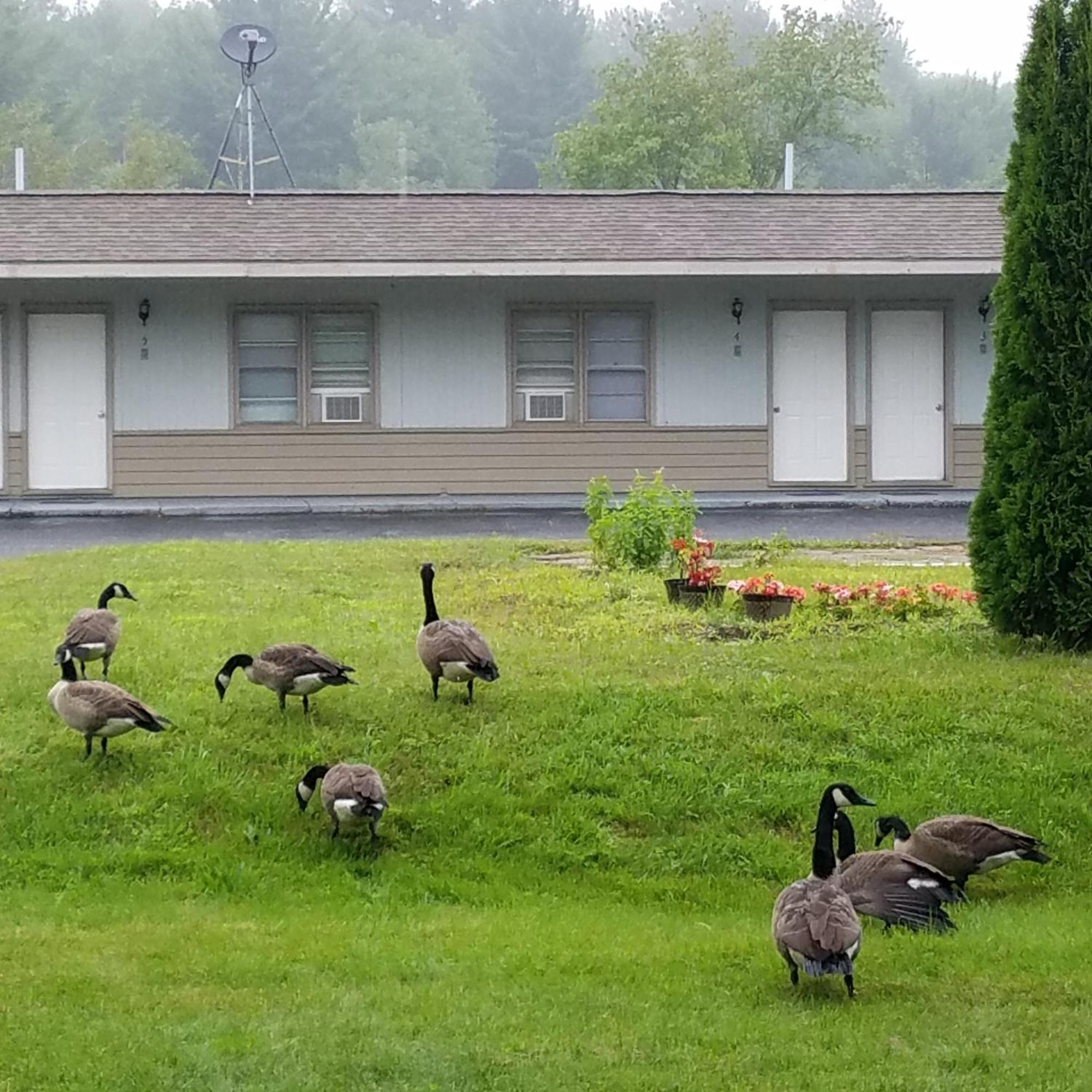 The Becket Motel Exterior photo